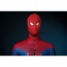 The Amazing Spider-Man Cosplay Costumes Peter Parker Suits Top Level