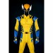Deadpool & Wolverine Cosplay Costumes Wolverine Logan Halloween Male Suits