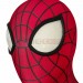 Peter Paker Suit The Amazing Spider Bodysuit
