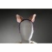 Marvel Rivals Cosplay Costumes Squirrel Girl Cosplay Suits
