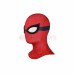 Your Friendly Neighborhood Spider-Man Cosplay Costume Spider-Man Peter Parker Suit
