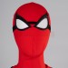Your Friendly Neighborhood Spider-Man Cosplay Costumes Spiderman Hoodies