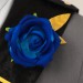 Final Fantasy Blue Rose Night Of Thorns Cosplay Costumes Sephiroth Top Level Suits
