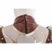 Baldur's Gate 3 Cosplay Costumes Halsin Top Level Suits