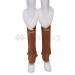 The Legend of Zelda Breath of the Wild Cosplay Costumes Princess Zelda Winter Outfit