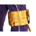 Clair Obscur Expedition 33 Cosplay Costumes Maelle‌ Top Level Suits