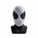 Spider-Man Brand New Day Cosplay Costumes Peter Parker Suits