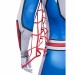 Supaidaman Cosplay Costumes New Suit HD Printed Jumpsuit