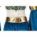 Zelda Breath of the Wild Cosplay Costumes Princess Zelda Top Level Suits